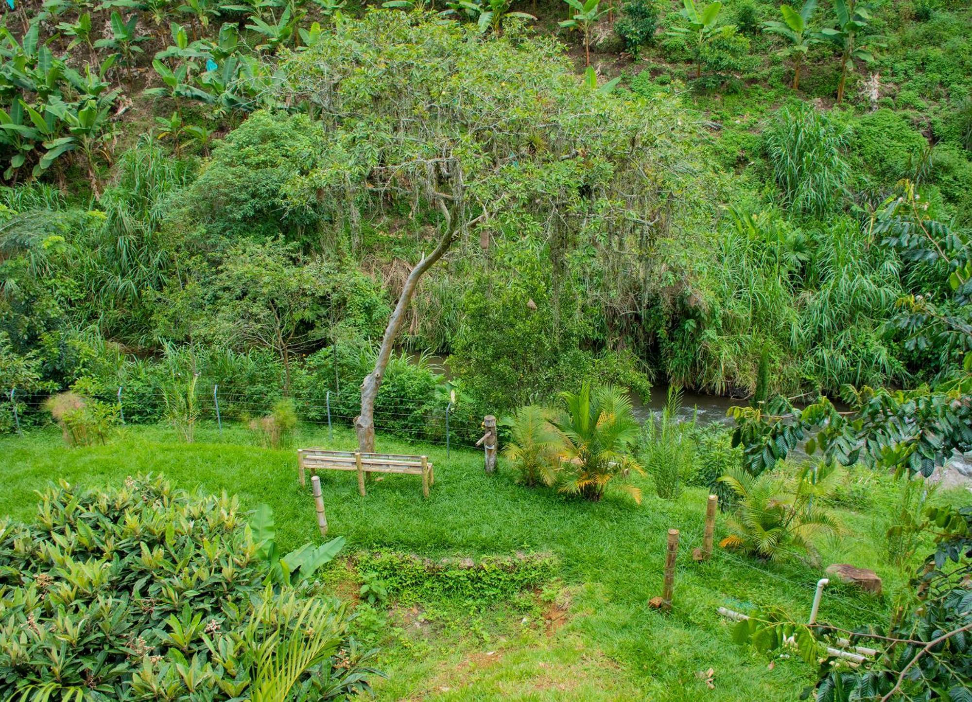 El Porvenir