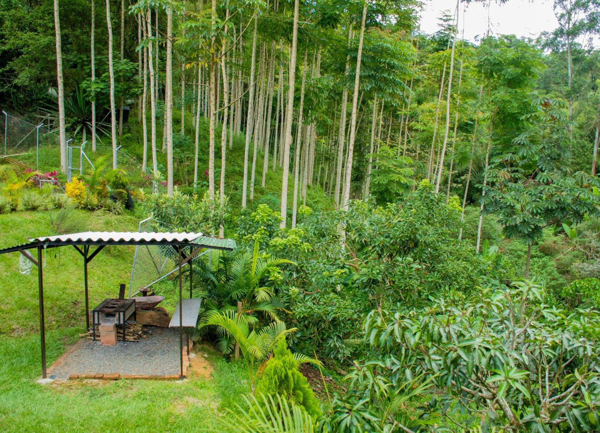 Country house El Porvenir Quimbaya